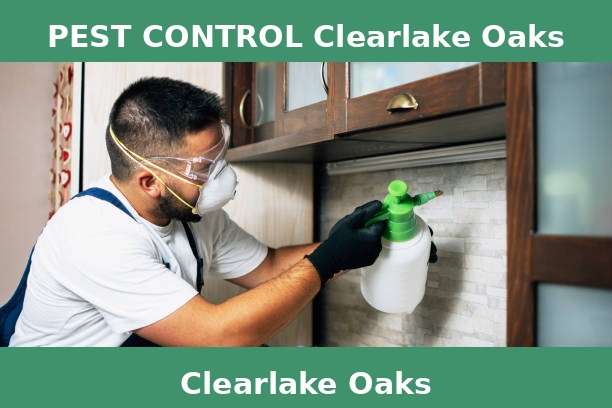 PEST CONTROL Clearlake Oaks